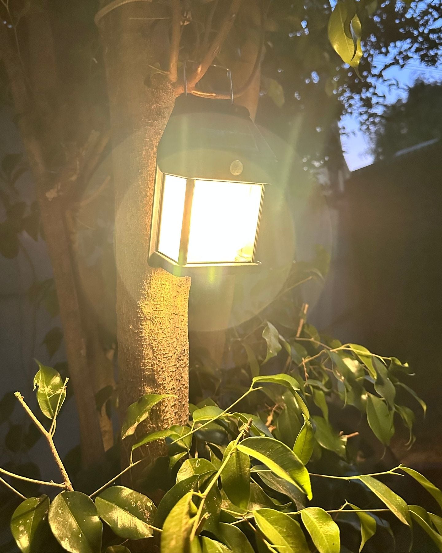 Lámpara Trío Boreal Solar 30W - IP65 Luz cálida