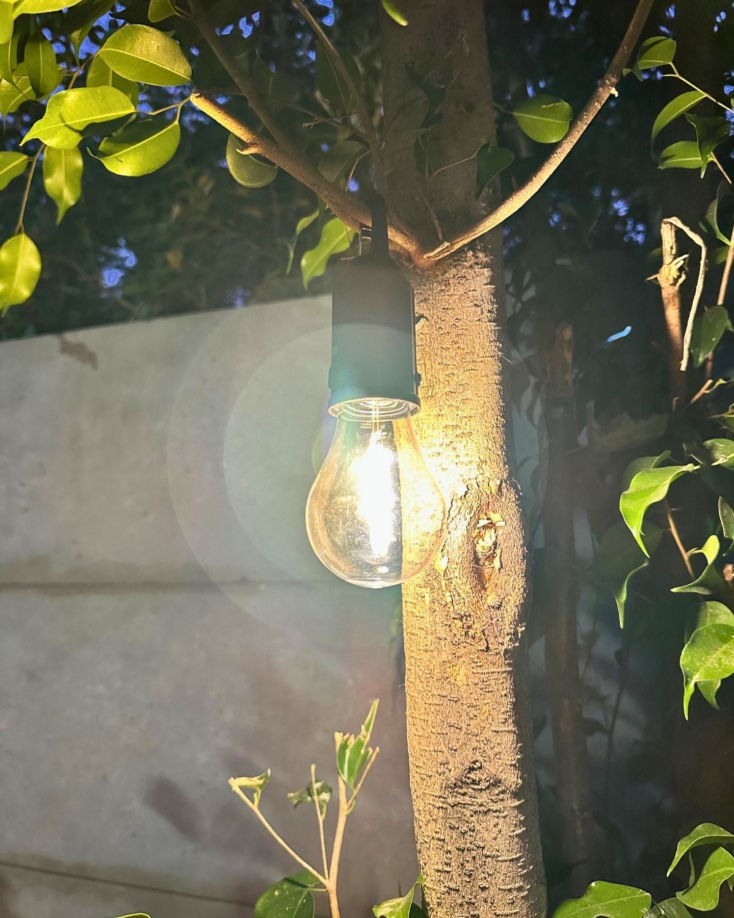 Ampolleta Recargable LED – Luz Cálida / USB / IP65 Exterior Interior - Luces nocturnas e iluminación ambiente - Disponible en Dreamy Home!