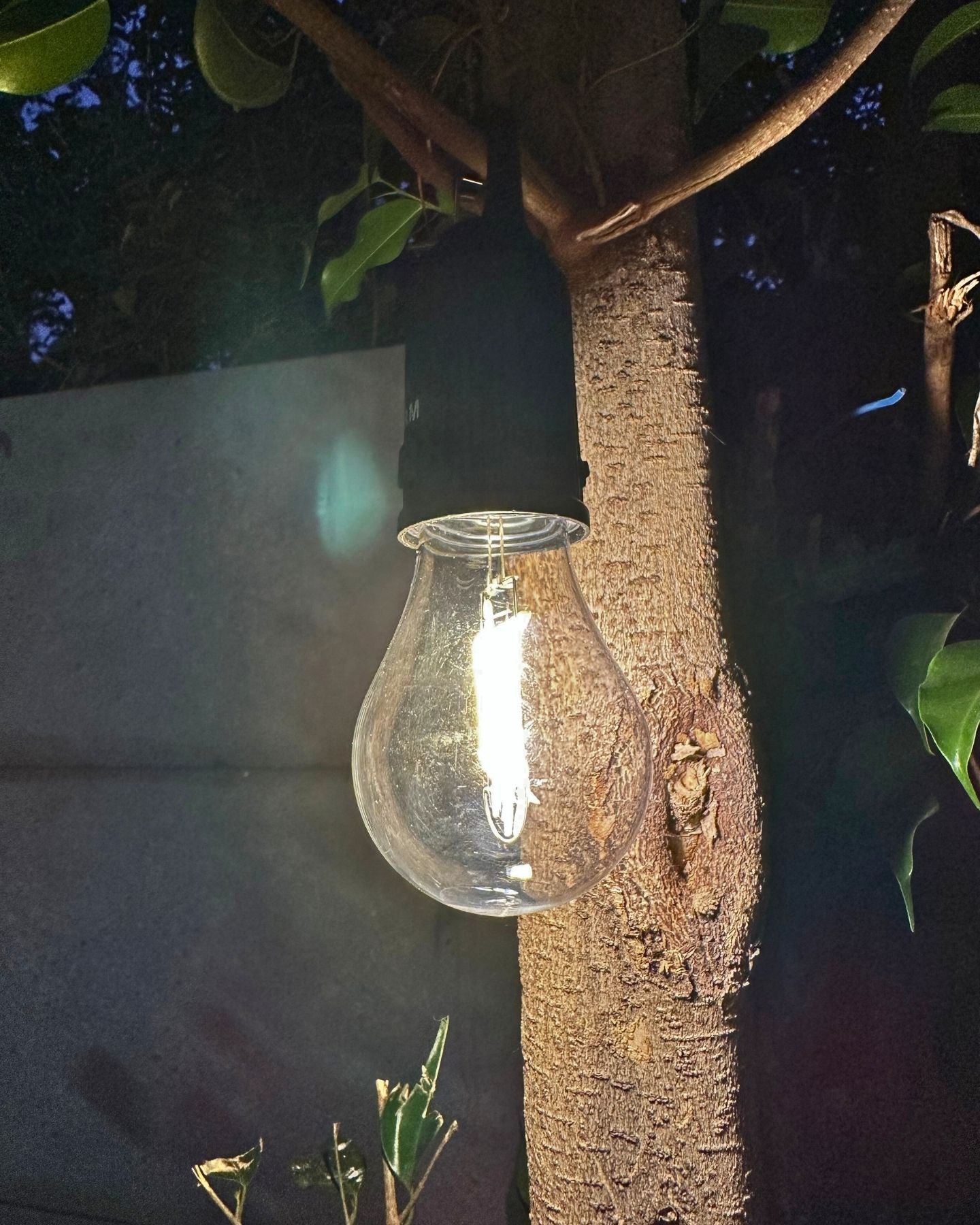 Ampolleta Recargable LED – Luz Cálida / USB / IP65 Exterior Interior - Luces nocturnas e iluminación ambiente - Disponible en Dreamy Home!