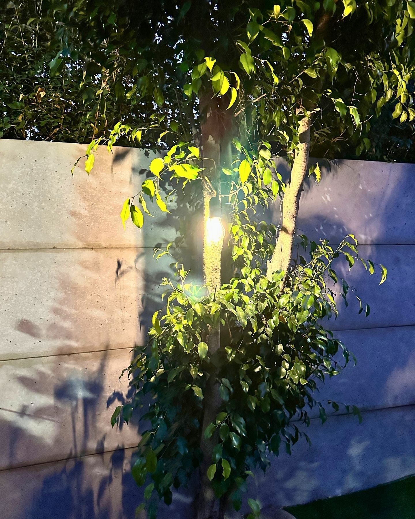 Ampolleta Recargable LED – Luz Cálida / USB / IP65 Exterior Interior - Luces nocturnas e iluminación ambiente - Disponible en Dreamy Home!
