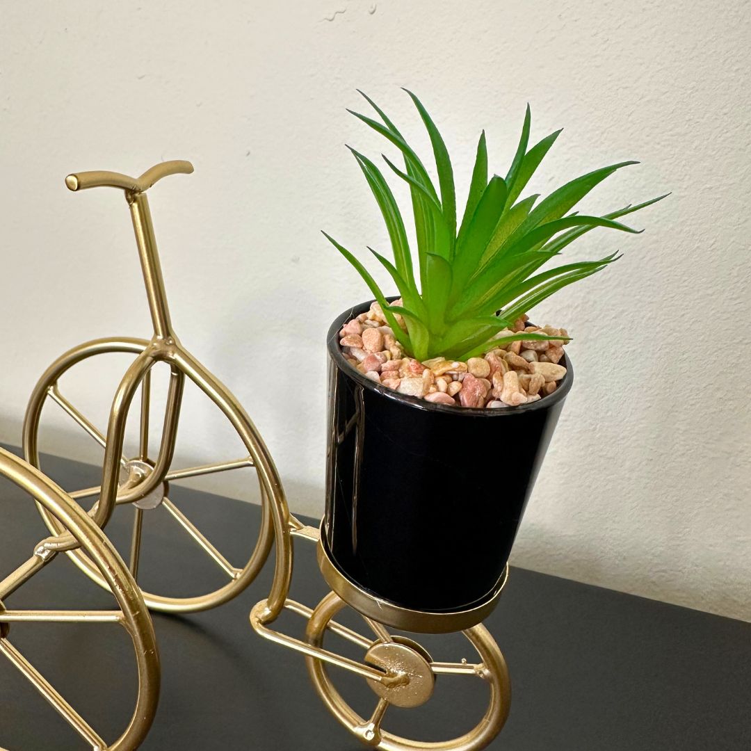 Cactus en Maceta de Bicicleta - Dorado / Decoración Interior - Disponible en Dreamy Home!