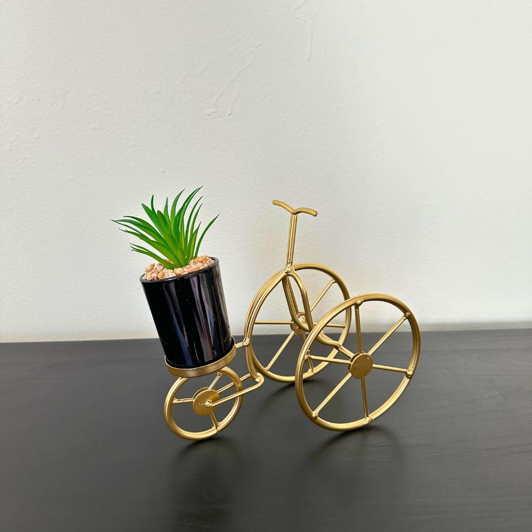Cactus en Maceta de Bicicleta - Dorado / Decoración Interior - Disponible en Dreamy Home!
