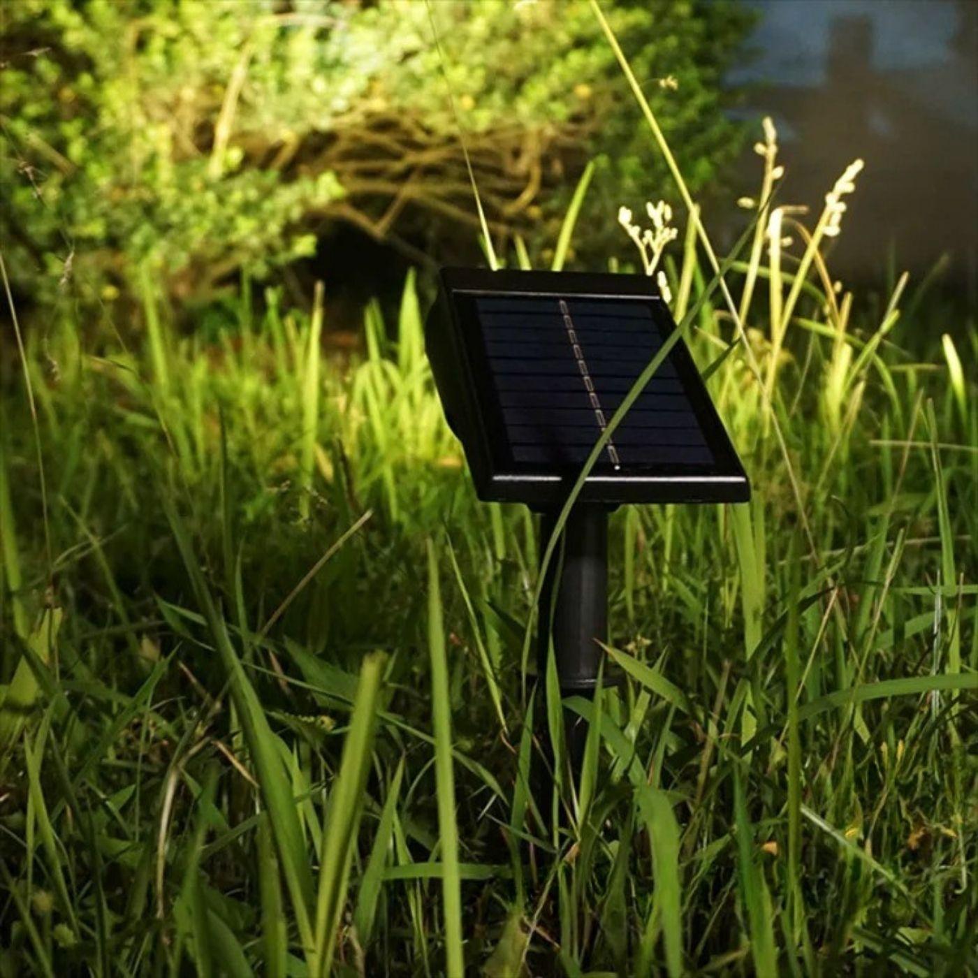 Estaca de Luz Solar con Sensor de Movimiento - Luz Fría - Disponible en Dreamy Home!
