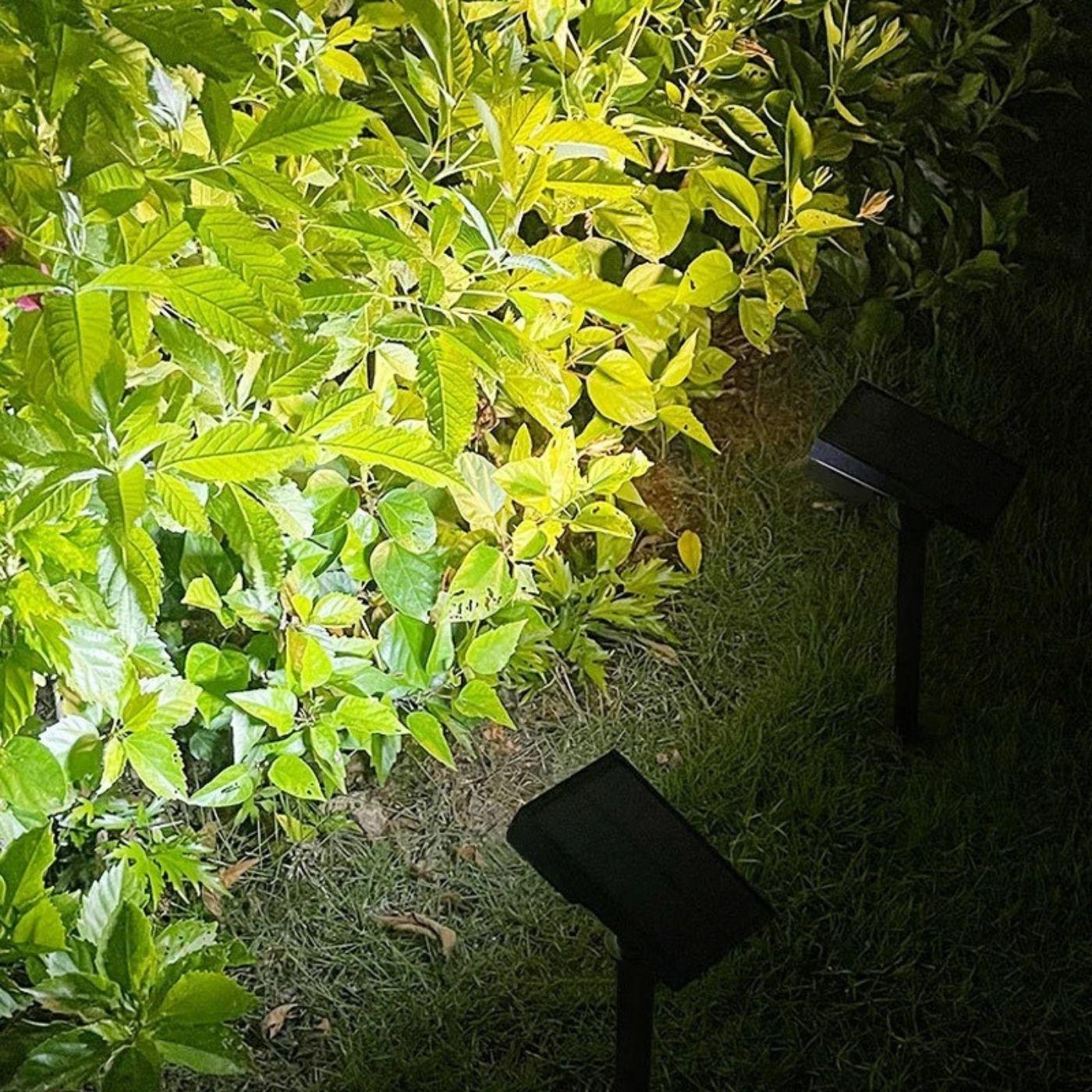 Estaca de Luz Solar con Sensor de Movimiento - Luz Fría - Disponible en Dreamy Home!