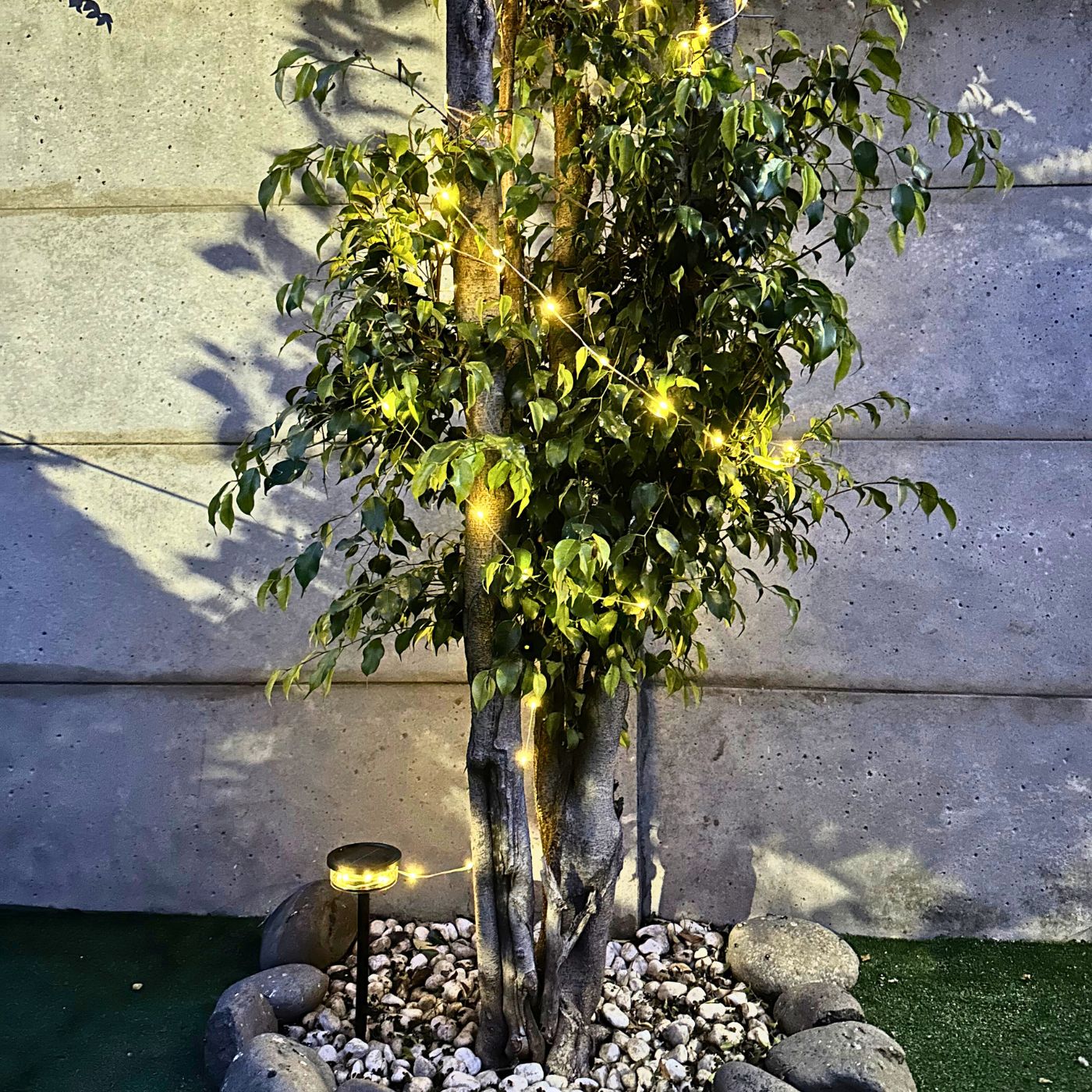 Estaca Solar de Hadas - Luz Cálida o Multicolor / IP65 - Disponible en Dreamy Home!
