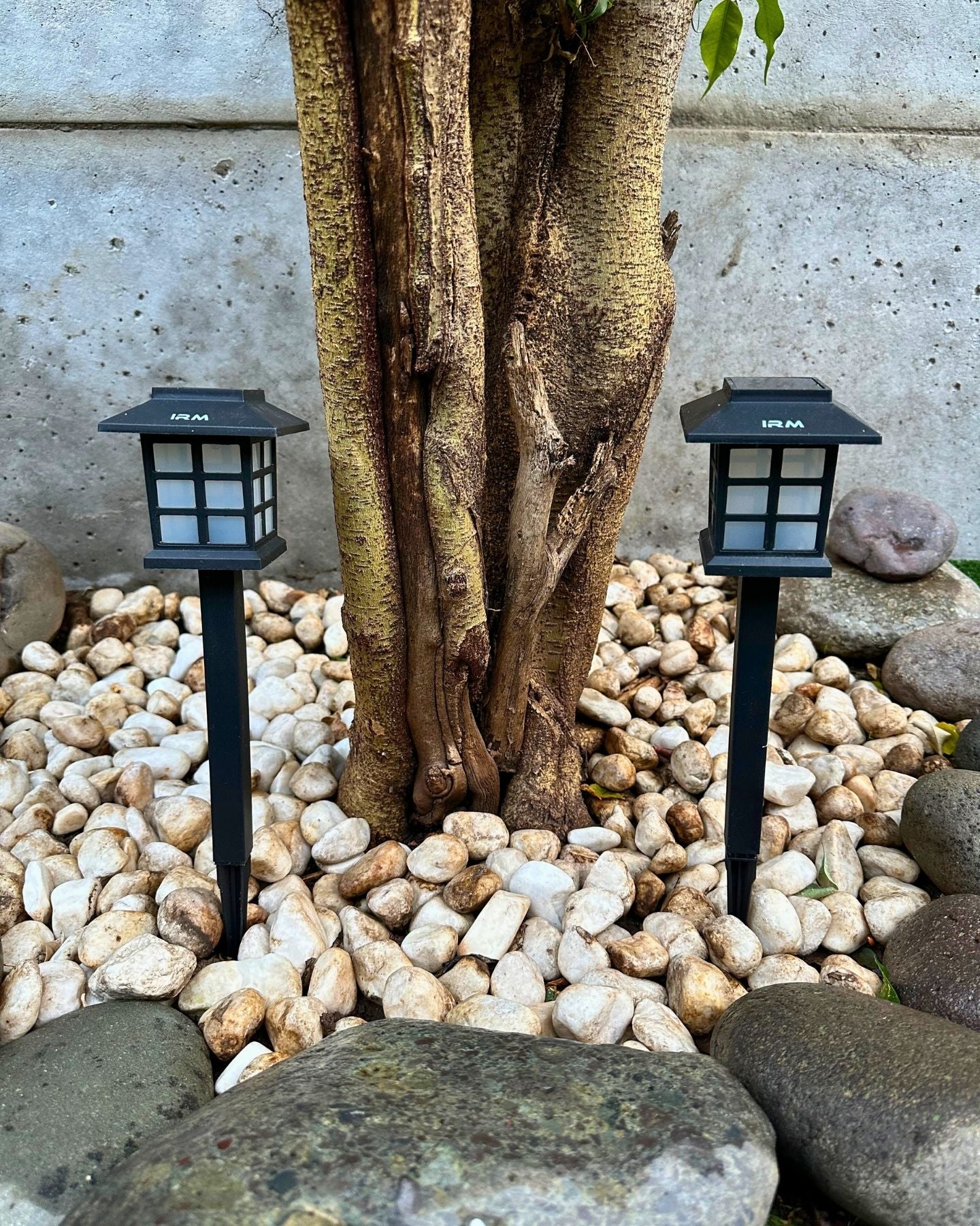 Set de 2 Faroles Cuadrado Solar - Luz Cálida / IP65 - Disponible en Dreamy Home!
