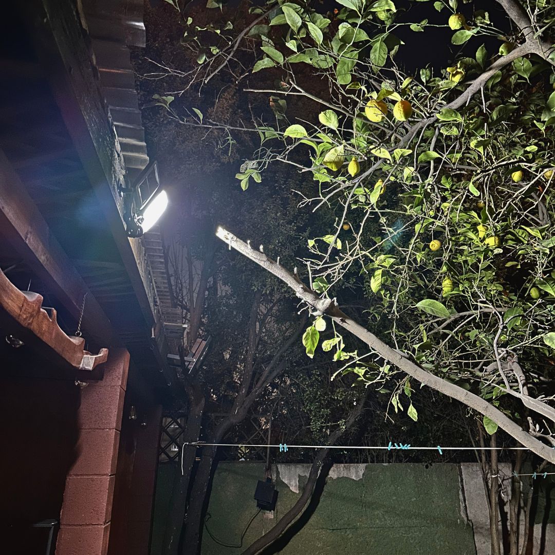 Foco Solar Curvo Compacto 100W - IP65 / Sensor / Luz Fría - Disponible en Dreamy Home!