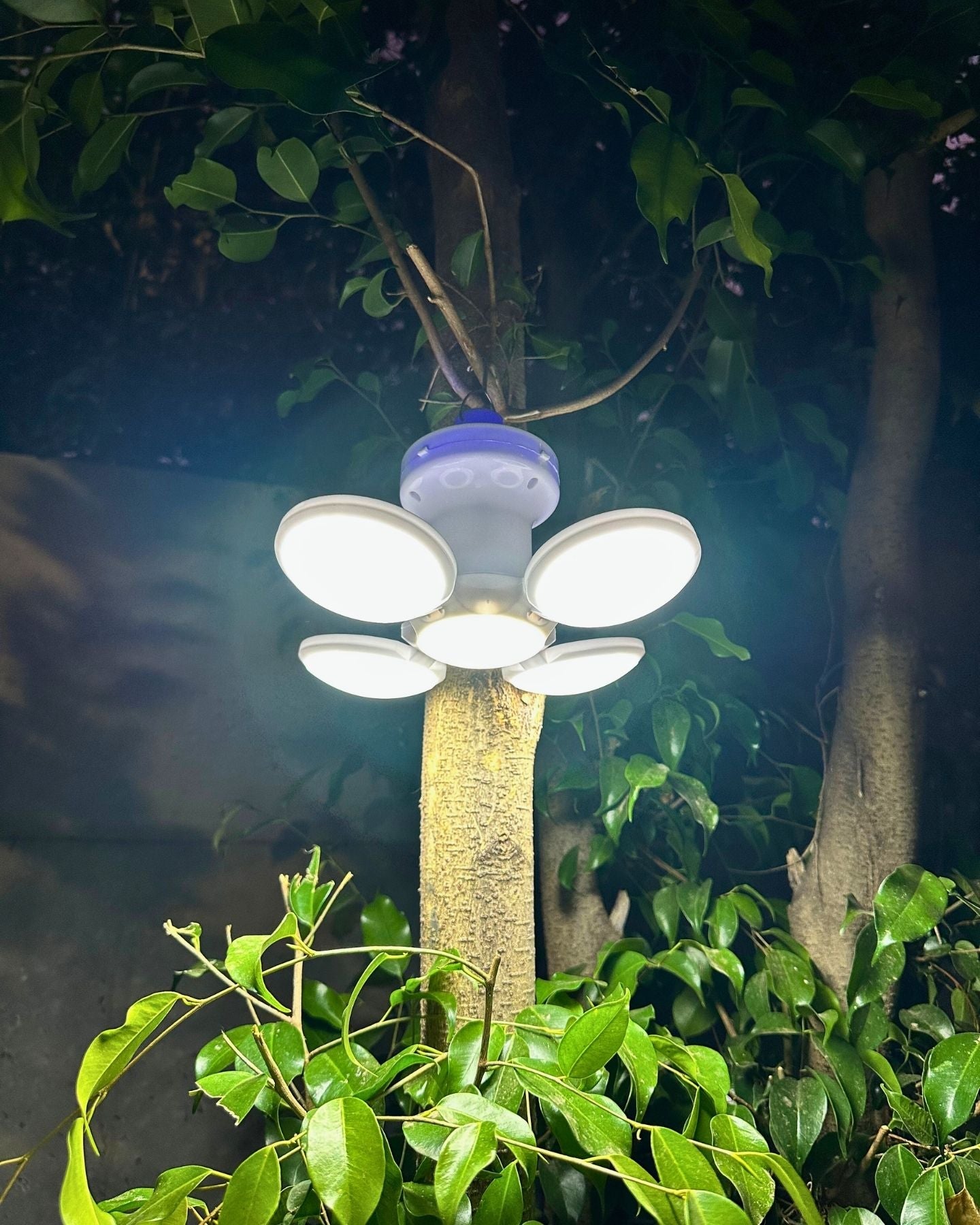 Luz Led Emergencia Solar - Luz Fría / IP65 - Luces nocturnas e iluminación ambiente - Disponible en Dreamy Home!