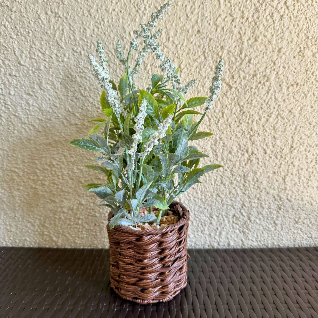 Planta Artificial Verde - Maceta Tejida / Hojas Texturizadas / 36 cm - Disponible en Dreamy Home!