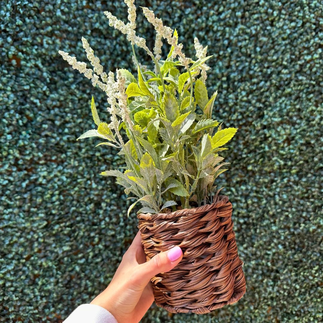 Planta Artificial Verde - Maceta Tejida / Hojas Texturizadas / 36 cm - Disponible en Dreamy Home!