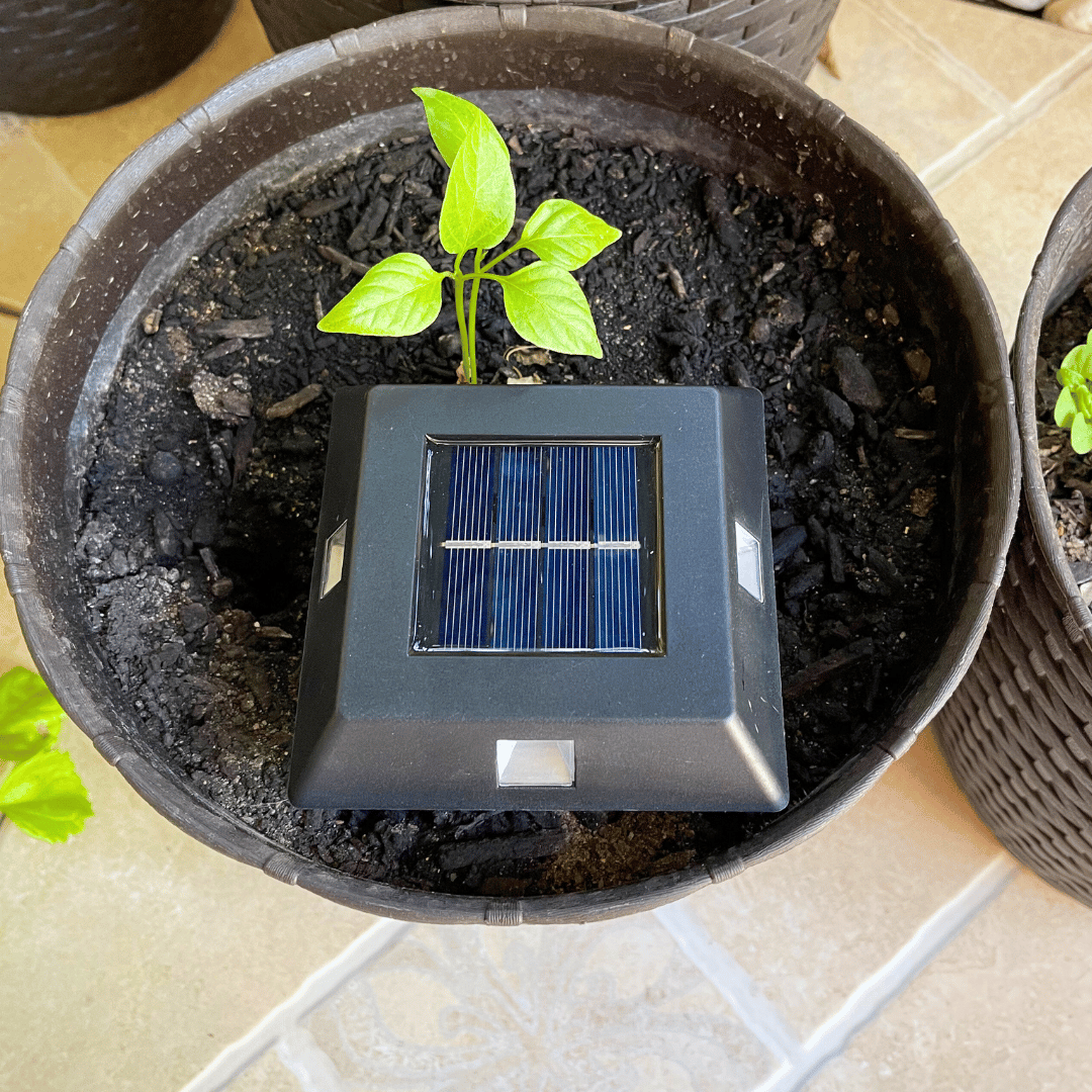 Set de 4 Apliques 360° Solar - Luz Cálida / IP65 - Disponible en Dreamy Home!