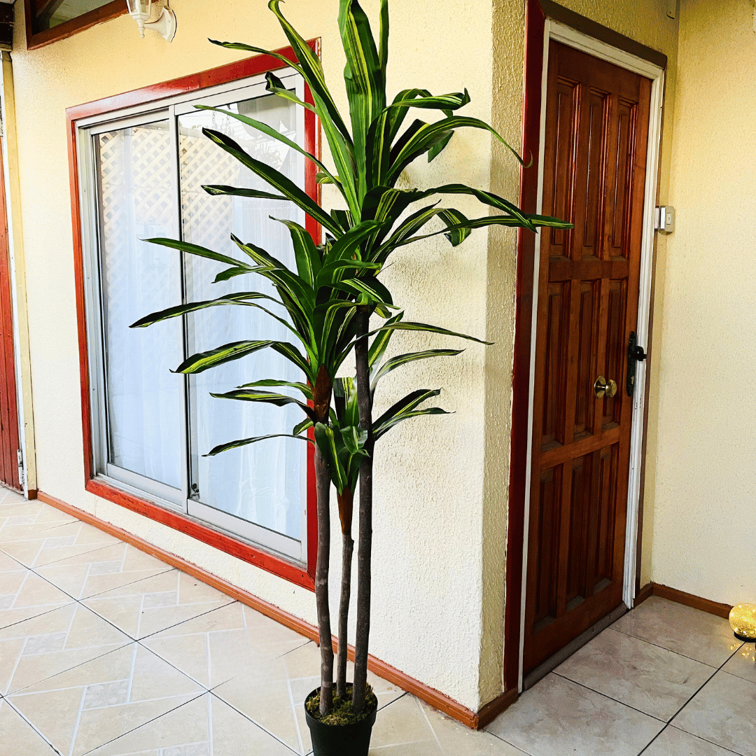 Árbol Artificial Palo de Agua - Altura 2 m y 1,25 m-Dreamy Home
