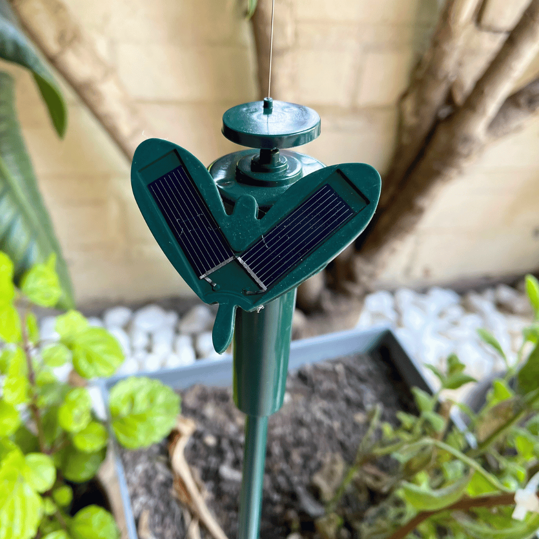 Ave Voladora Solar - Colibrí o Mariposa / IP65 - Disponible en Dreamy Home!