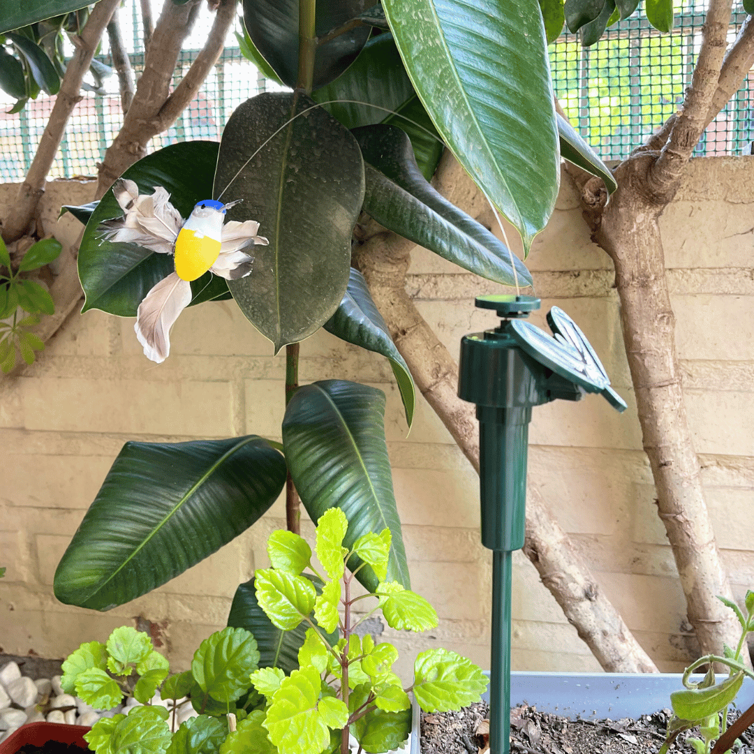 Ave Voladora Solar - Colibrí o Mariposa / IP65 - Disponible en Dreamy Home!