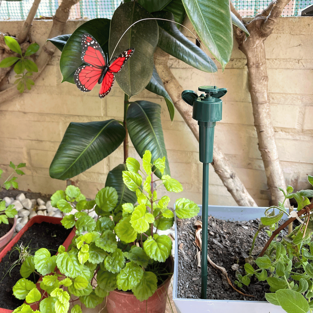 Ave Voladora Solar - Colibrí o Mariposa / IP65 - Disponible en Dreamy Home!