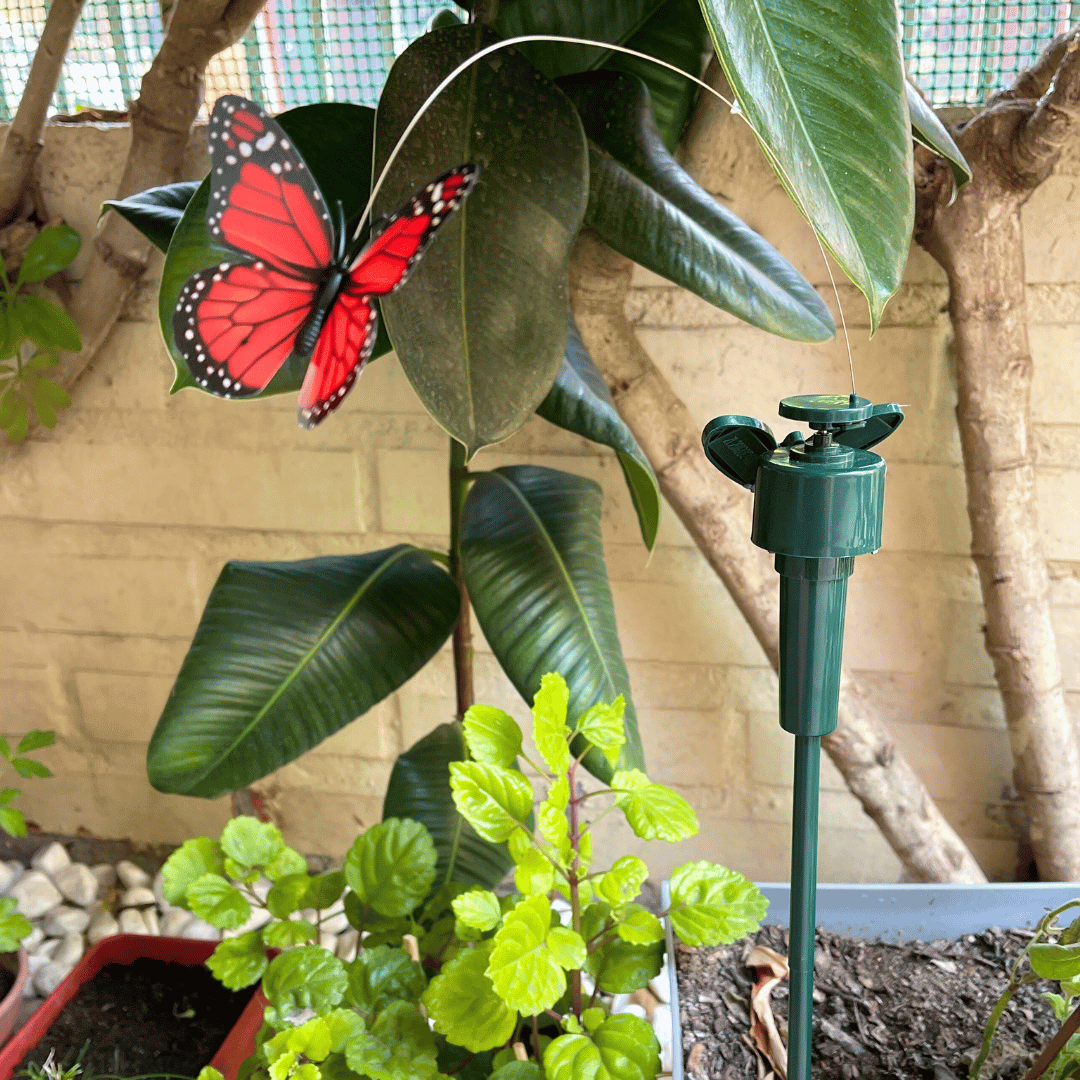 Ave Voladora Solar - Colibrí o Mariposa / IP65 - Disponible en Dreamy Home!