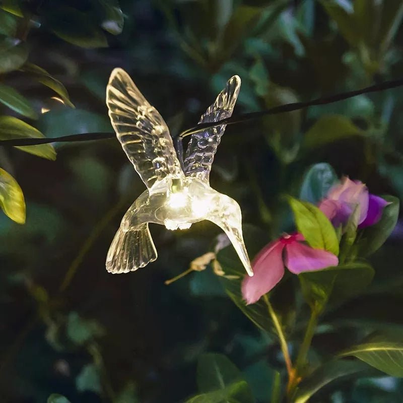 Guirnalda de Colibrís Solares - Largo 5 m / Luz Cálida o Multicolor / IP65 - Disponible en Dreamy Home!
