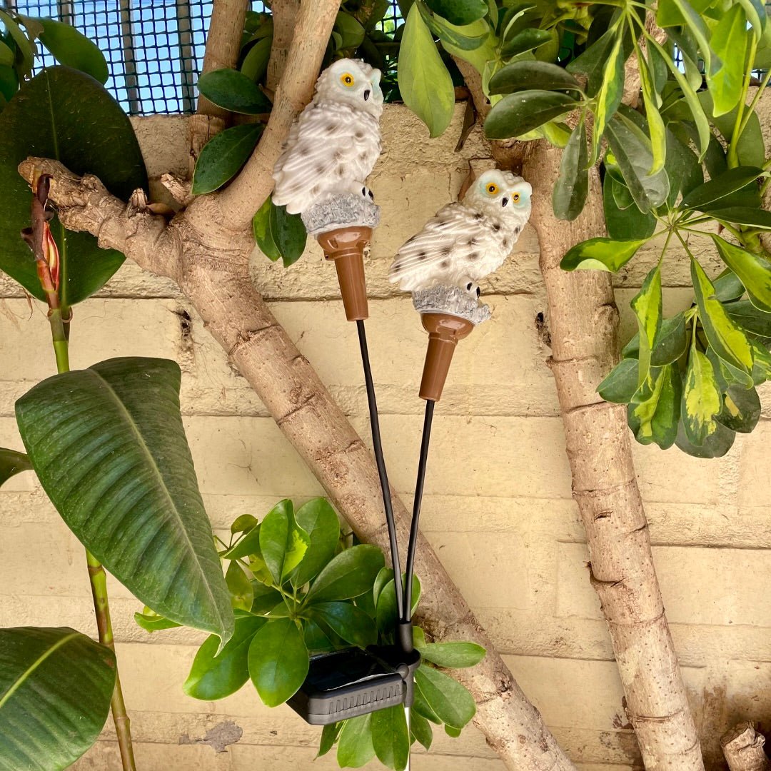 Set de 2 Estacas de Búho Doble Solar - Luz Cálida / IP65 - Disponible en Dreamy Home!