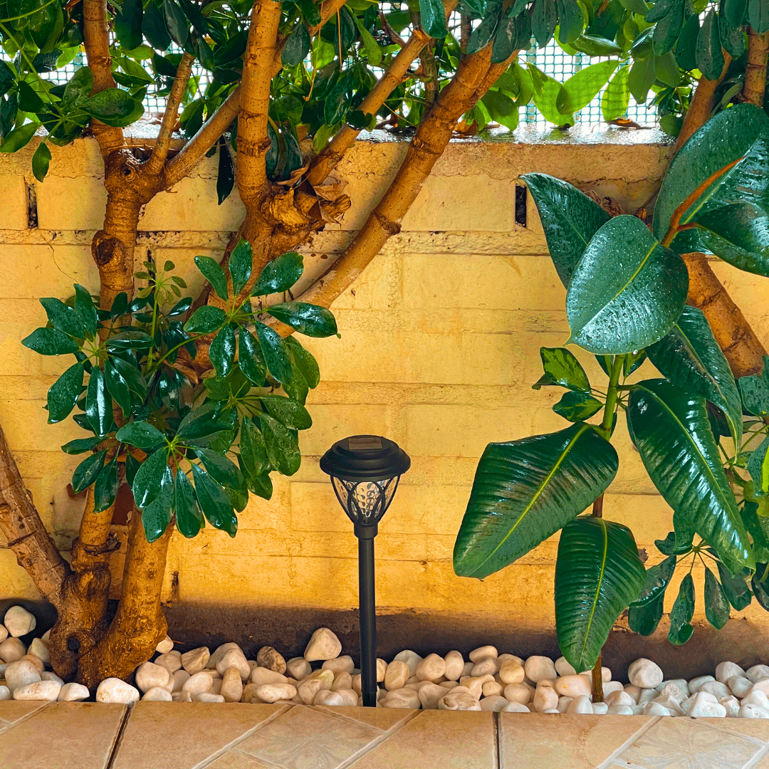 Set de 4 Estacas Decoration Solar - Luz Fría / IP65 Disponible en Dreamy Home!