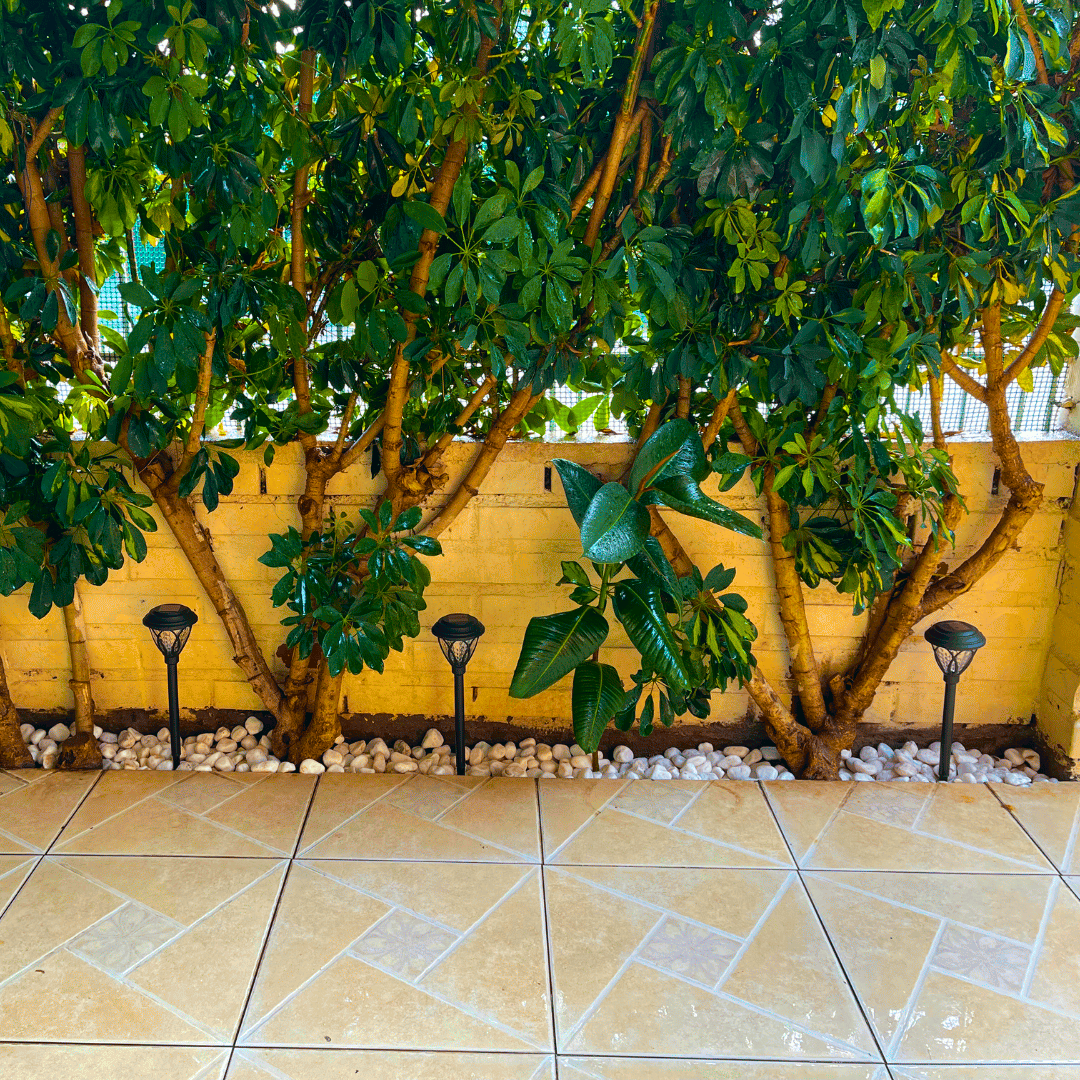 Set de 4 Estacas Decoration Solar - Luz Fría / IP65 Disponible en Dreamy Home!