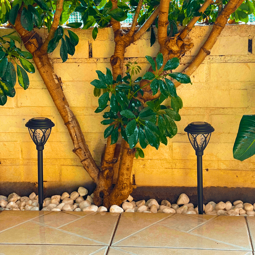 Set de 4 Estacas Decoration Solar - Luz Fría / IP65 Disponible en Dreamy Home!