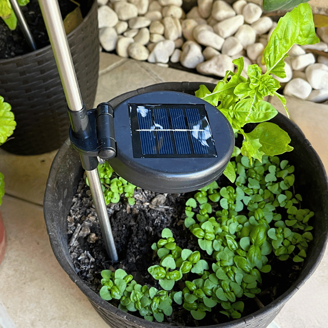 Set de 2 Estacas Firework Solar - Luz Cálida o Multicolor / IP65 / Altura 84 cm - Disponible en Dreamy Home!