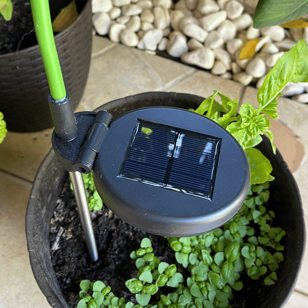 Set de 2 Estacas Girasoles Solares - Luz Cálida / Altura 67 cm / IP44 - Disponible en Dreamy Home!