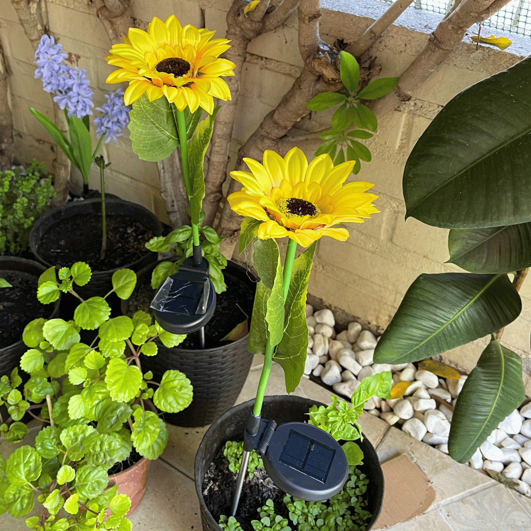 Set de 2 Estacas Girasoles Solares - Luz Cálida / Altura 67 cm / IP44 - Disponible en Dreamy Home!