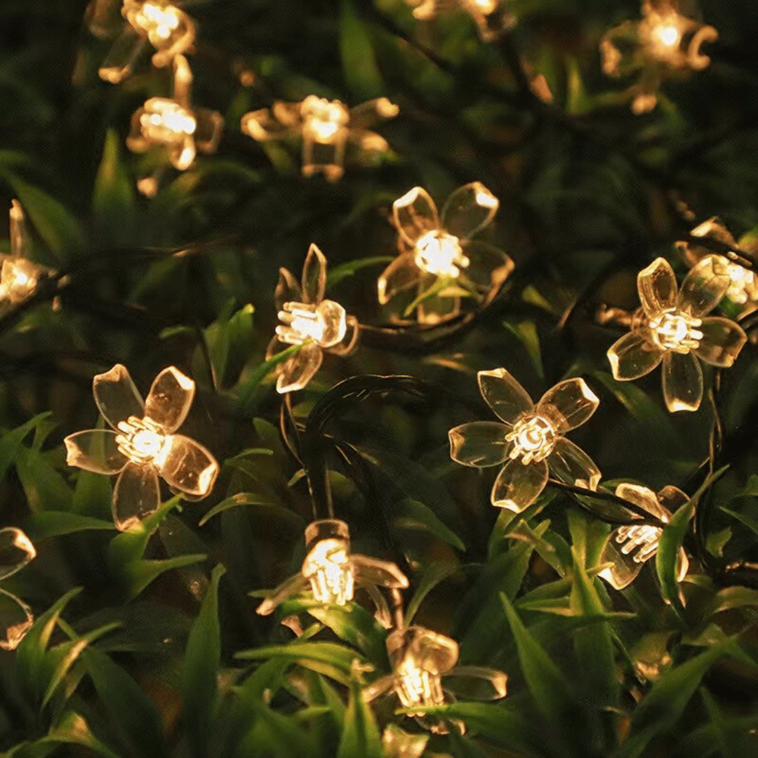 Guirnalda de Flores Solares - Luz Cálida o Multicolor / Largo 5 m / IP65 - Disponible en Dreamy Home!
