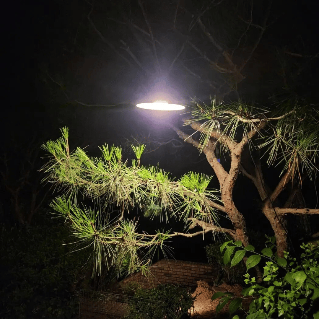Lámpara Soquete Solar - 30W / Longitud del Cable 3 m / IP44 / Luz Fría - Disponible en Dreamy Home!