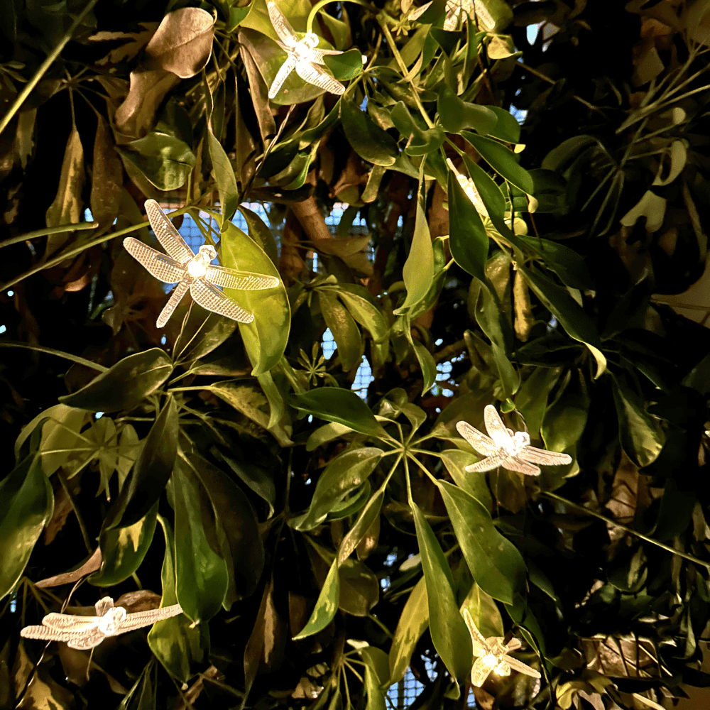 Guirnalda de Libélulas Solares - Luz Cálida o Multicolor / Largo 5 m / IP65 - Disponible en Dreamy Home!