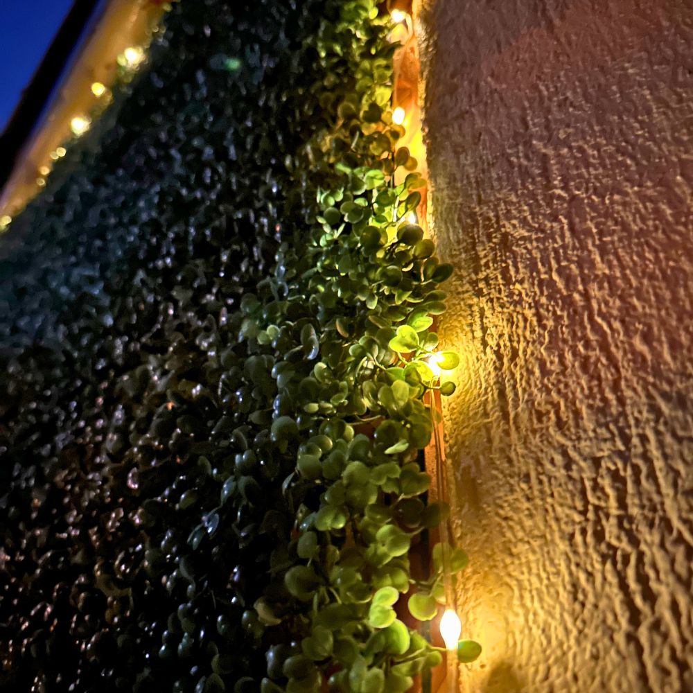 Luces Hada XL Solares - 5 m / Luz Cálida o Multicolor / IP65 - Disponible en Dreamy Home!