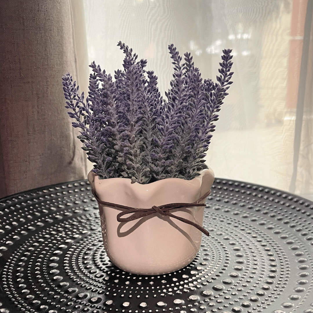 Lavanda Artificial de Mesa - Macetero Cerámica Blanco / 15 cm - Disponible en Dreamy Home!