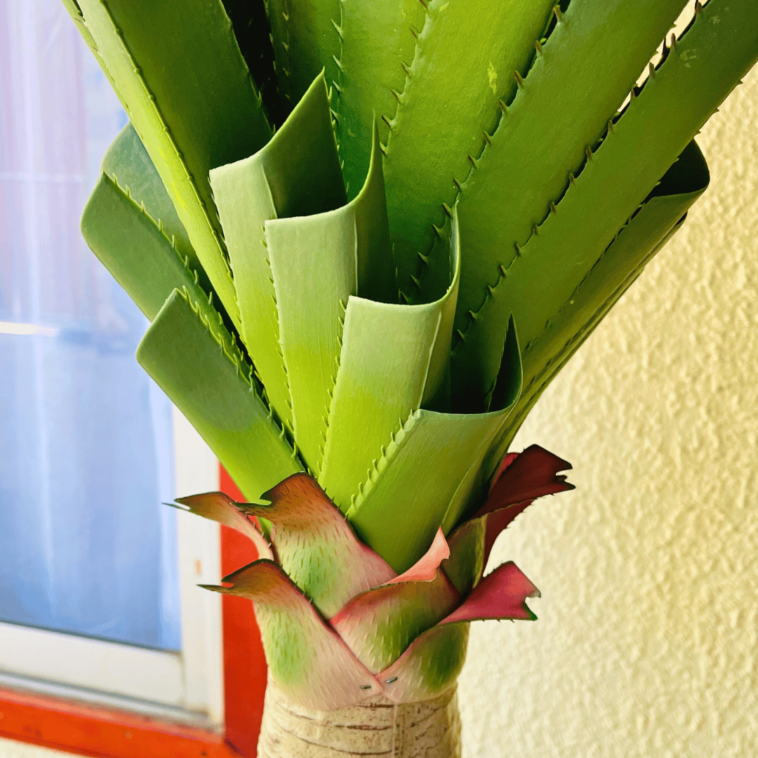 Planta Artificial Pandano - 160 cm Alto / Follaje Verde / Maceta Negra - Disponible en Dreamy Home!