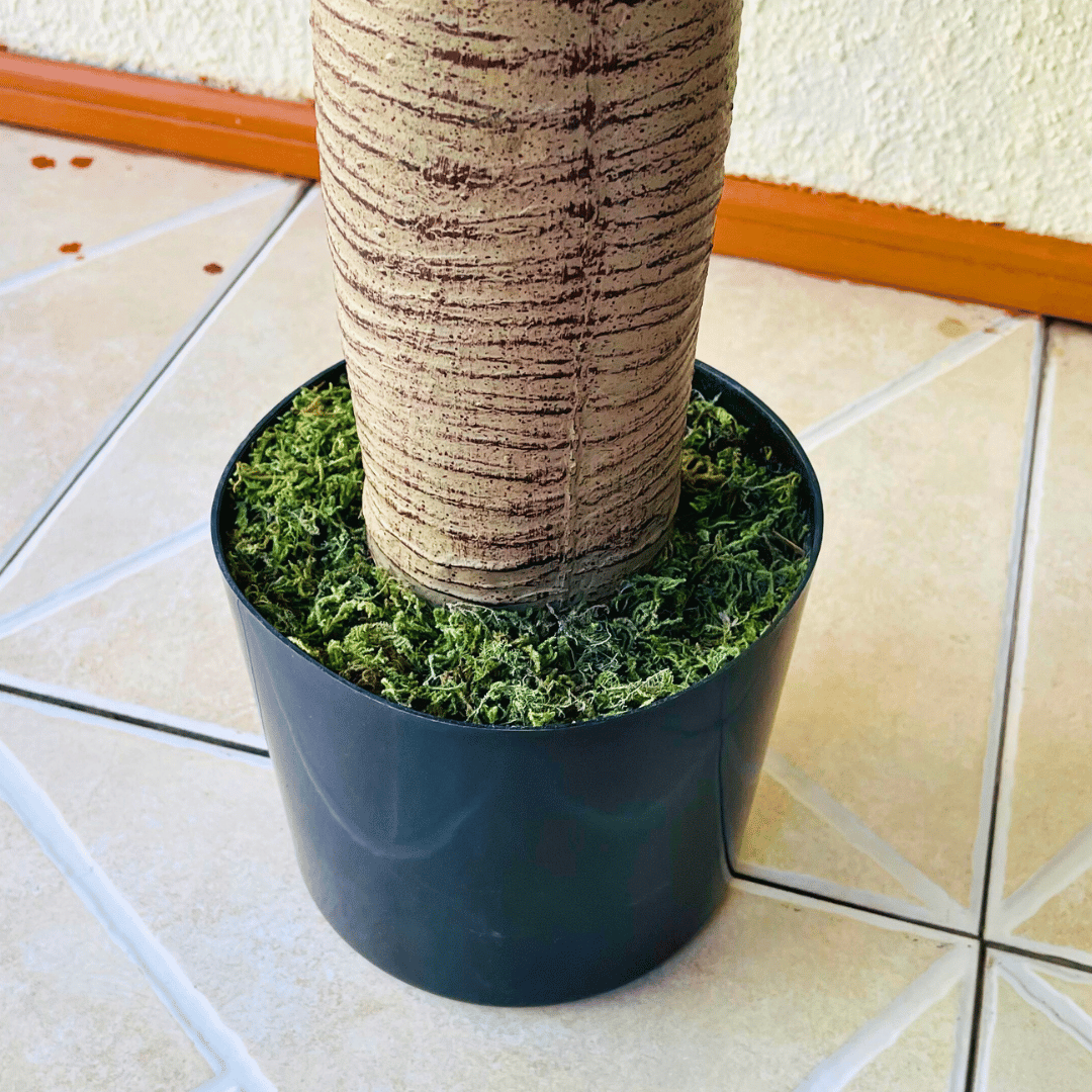 Planta Artificial Pandano - 160 cm Alto / Follaje Verde / Maceta Negra - Disponible en Dreamy Home!