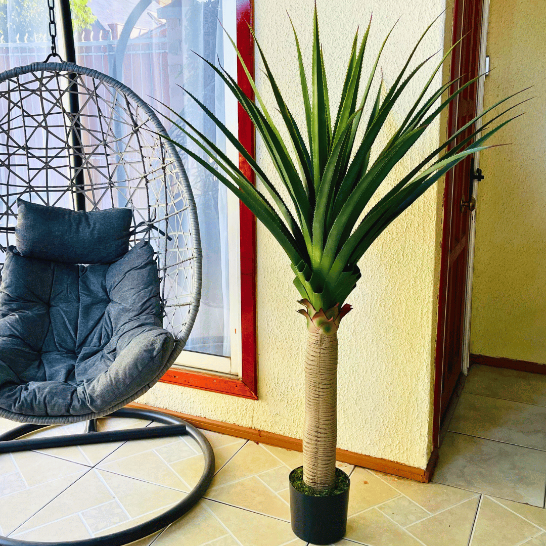 Planta Artificial Pandano - 160 cm Alto / Follaje Verde / Maceta Negra - Disponible en Dreamy Home!