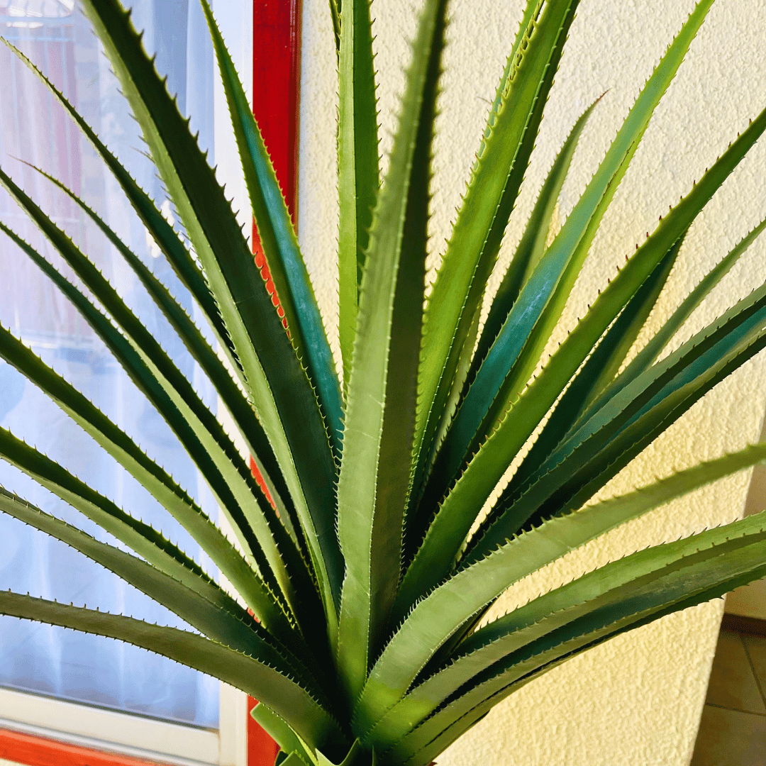 Planta Artificial Pandano - 160 cm Alto / Follaje Verde / Maceta Negra - Disponible en Dreamy Home!