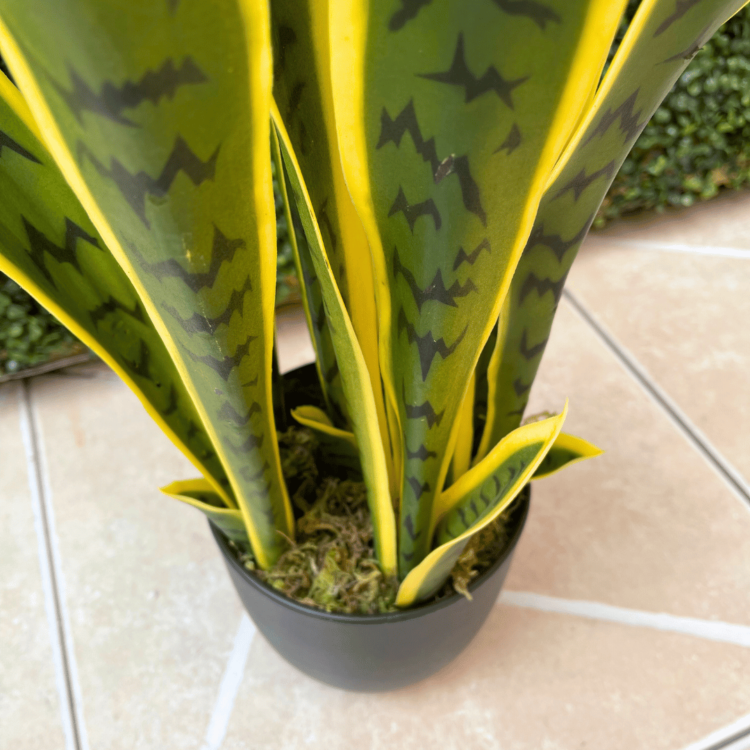 Planta Serpentaria Artificial - Follaje Verde/Amarillo / 85 cm - Disponible en Dreamy Home!