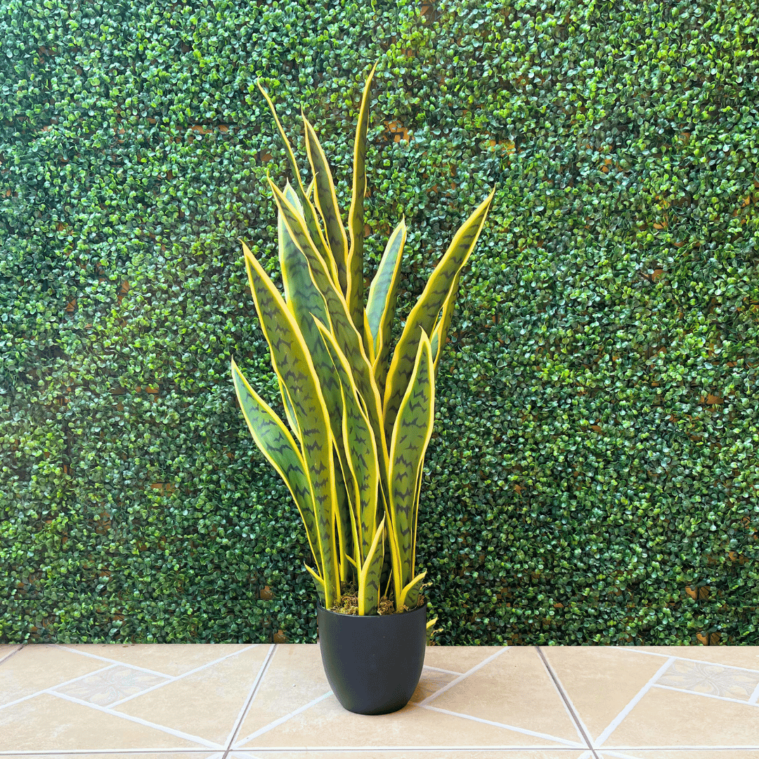 Planta Serpentaria Artificial - Follaje Verde/Amarillo / 85 cm - Disponible en Dreamy Home!
