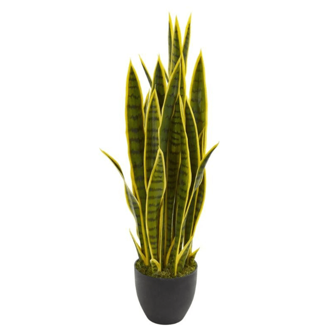 Planta Serpentaria Artificial - Follaje Verde/Amarillo / 85 cm - Disponible en Dreamy Home!