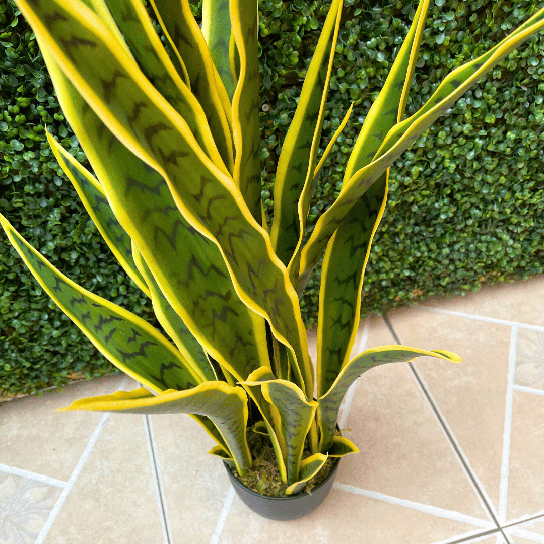 Planta Serpentaria Artificial - Follaje Verde/Amarillo / 85 cm - Disponible en Dreamy Home!