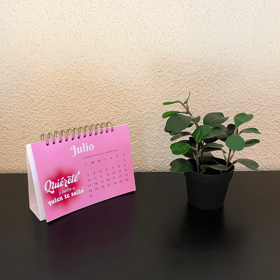 Planta Jade Artificial - Follaje Verde Oscuro / Maceta Negra - Disponible en Dreamy Home!