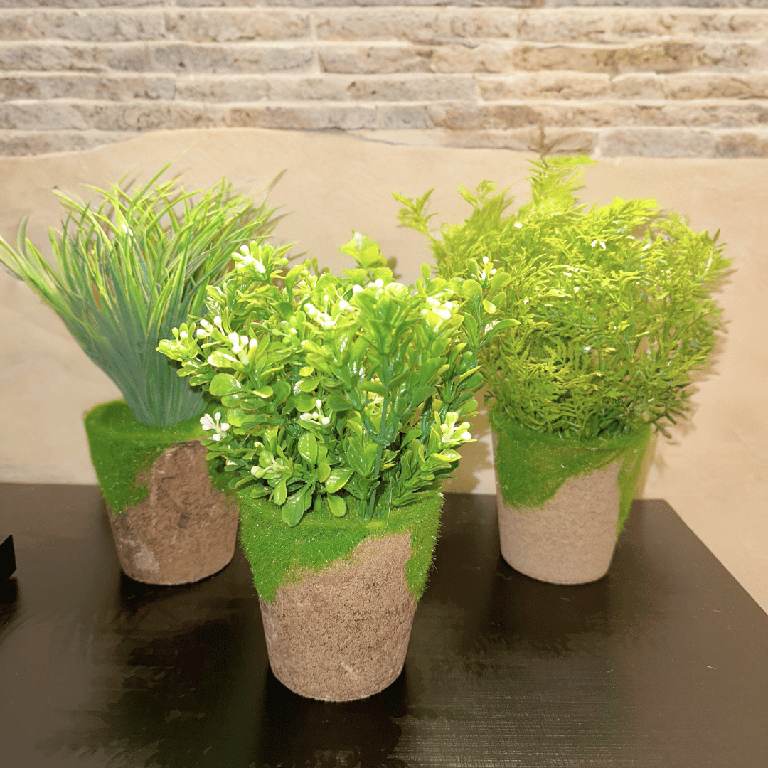Planta Artificial - Maceta Textil / Verde Realista / 20x10 cm - Disponible en Dreamy Home!