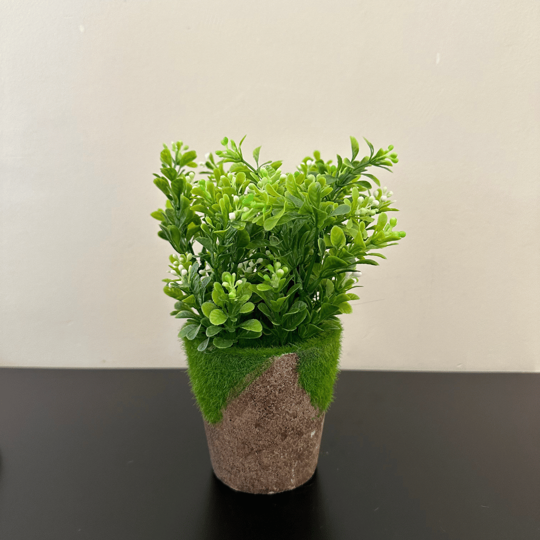 Planta Artificial - Maceta Textil / Verde Realista / 20x10 cm - Disponible en Dreamy Home!