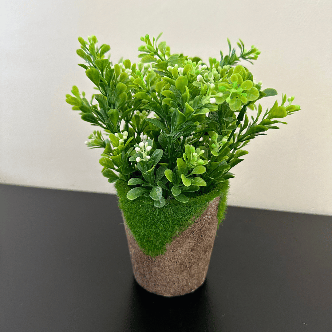 Planta Artificial - Maceta Textil / Verde Realista / 20x10 cm - Disponible en Dreamy Home!