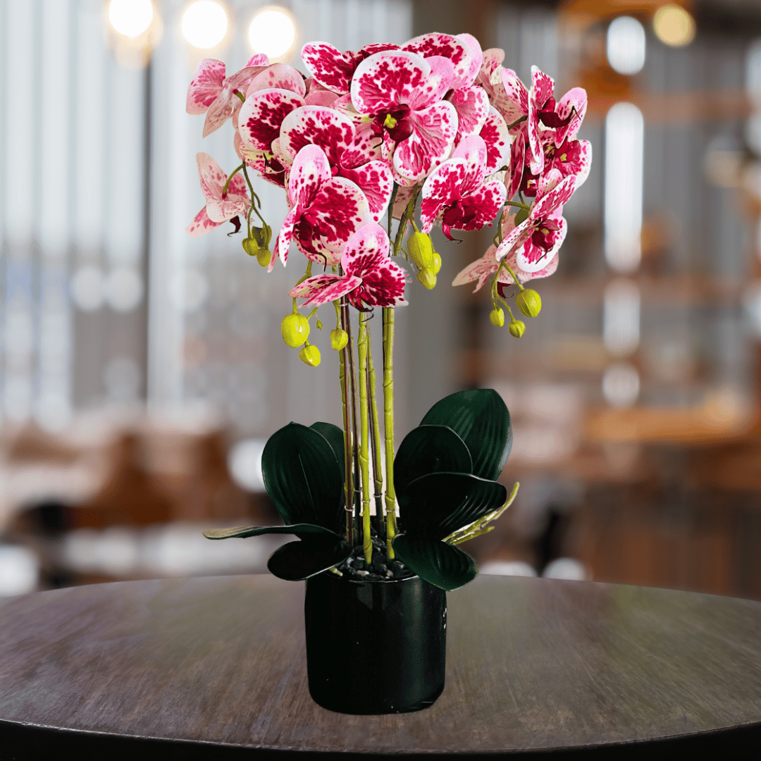 Orquídea Mariposa XL - Rosada con Motas / Macetero Negro / 59 cm Alto - Decoración - Disponible en Dreamy Home!