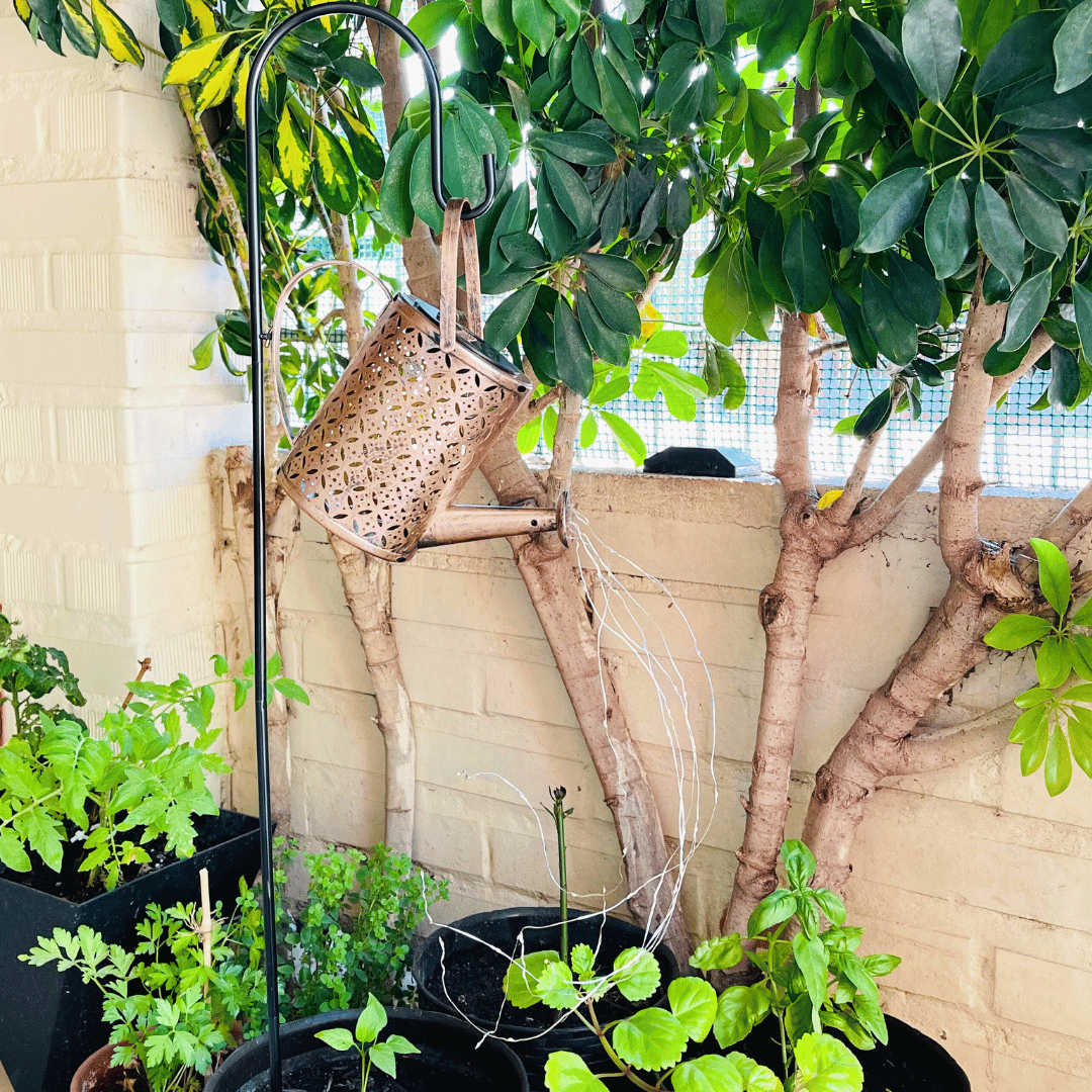 Regadera Solar Mandala - Luz Cálida / Metal / IP65 - Disponible en Dreamy Home!