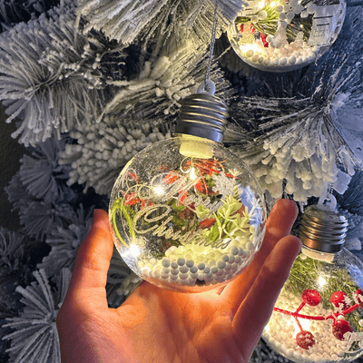 Esferas Diseños Navideños a Pilas - Luz Cálida