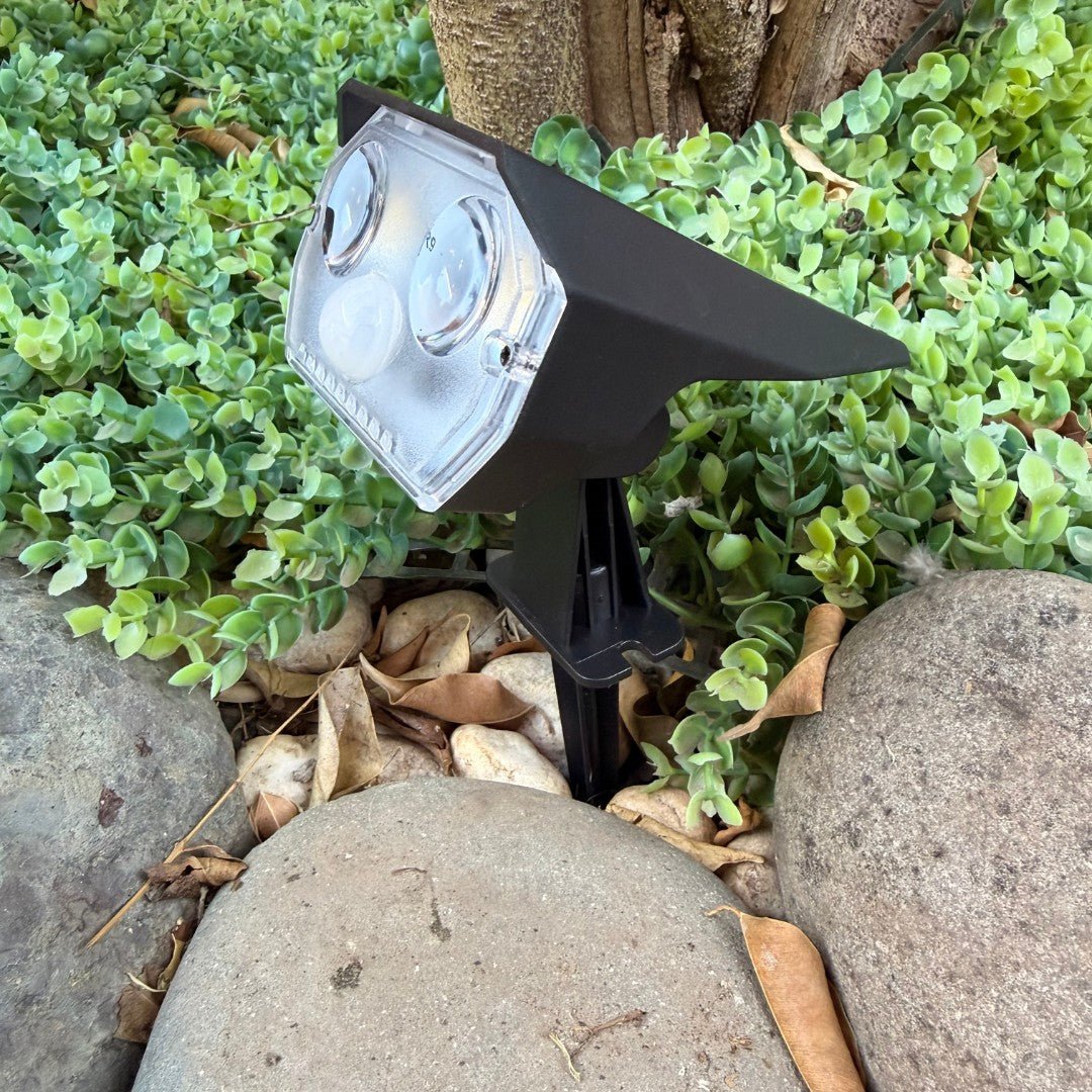 Estaca de Luz Solar con Sensor de Movimiento - Luz Fría - Disponible en Dreamy Home!