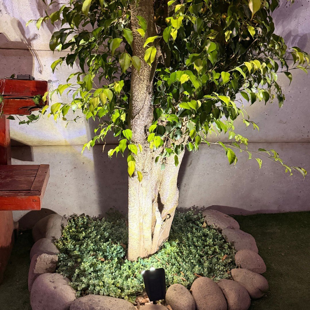 Estaca de Luz Solar con Sensor de Movimiento - Luz Fría - Disponible en Dreamy Home!